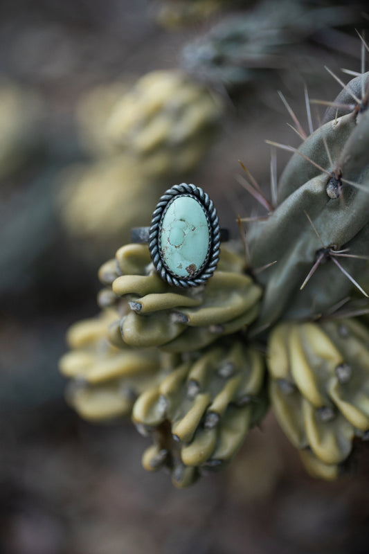 Iron Maiden Turquoise Ring | Size 7.5