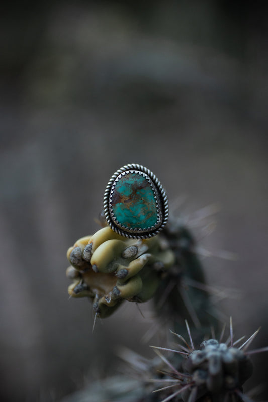 Kingman Turquoise Ring | Size 6 (scratch and dent)