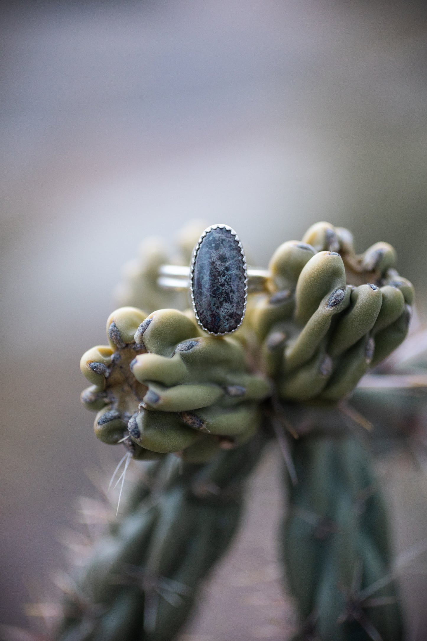 Redskin Turquoise Ring | Size 9