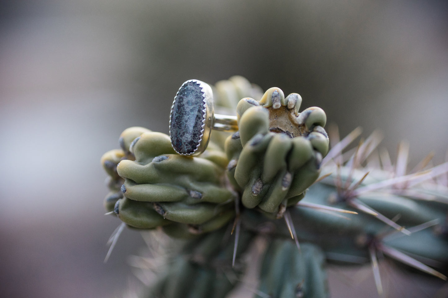 Redskin Turquoise Ring | Size 9