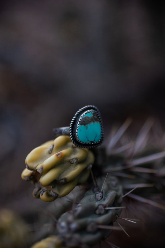 Kingman Turquoise Ring | Size 11