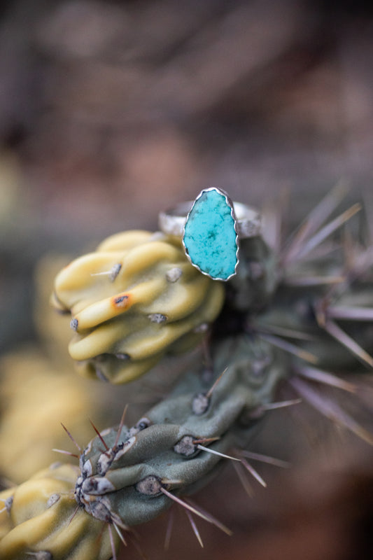Kingman Turquoise Ring | Size 6